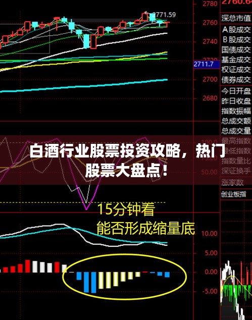 白酒行業(yè)股票投資攻略，熱門股票大盤點！