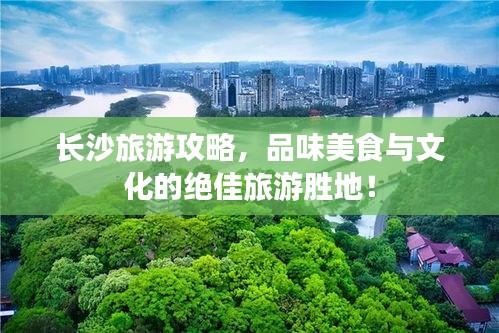 造價咨詢