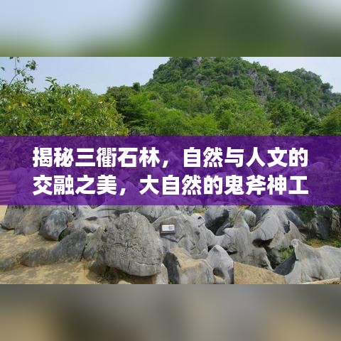 揭秘三衢石林，自然與人文的交融之美，大自然的鬼斧神工欣賞