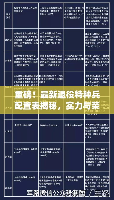 重磅！最新退役特種兵配置表揭秘，實力與榮耀并存