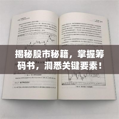 揭秘股市秘籍，掌握籌碼書，洞悉關(guān)鍵要素！