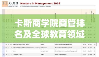 卡斯商學院商管排名及全球教育領(lǐng)域地位解析