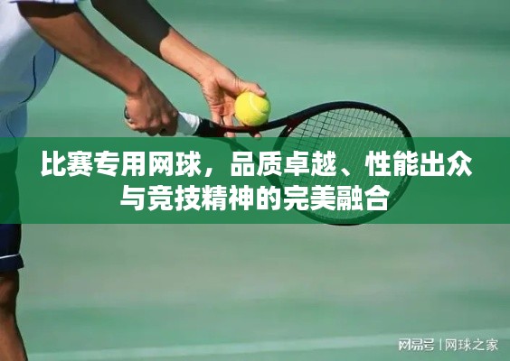 比賽專用網(wǎng)球，品質(zhì)卓越、性能出眾與競技精神的完美融合