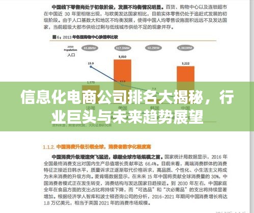 信息化電商公司排名大揭秘，行業(yè)巨頭與未來趨勢(shì)展望