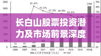 長(zhǎng)白山股票投資潛力及市場(chǎng)前景深度解析