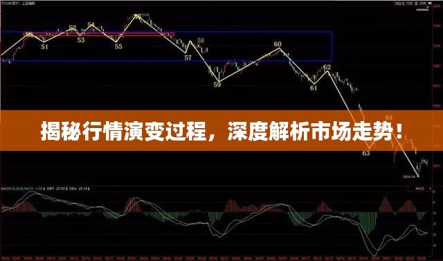 揭秘行情演變過程，深度解析市場走勢！