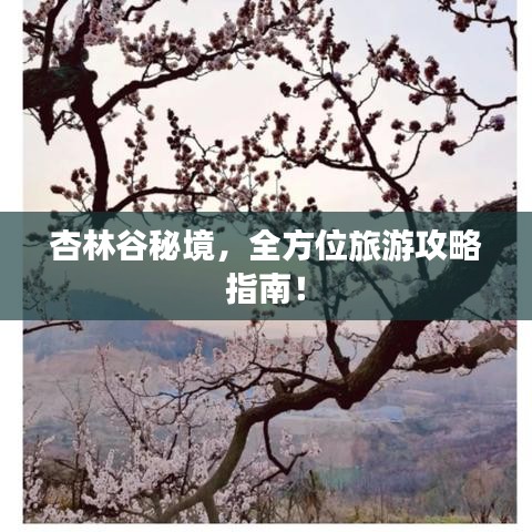 杏林谷秘境，全方位旅游攻略指南！