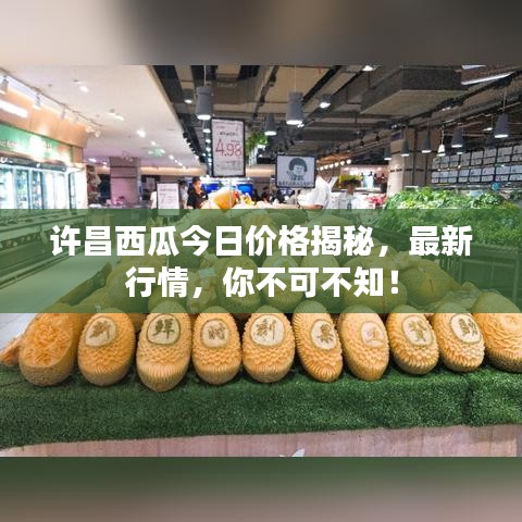 許昌西瓜今日價(jià)格揭秘，最新行情，你不可不知！
