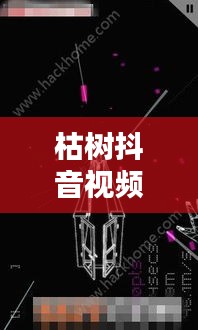 枯樹抖音視頻，探索最新版視頻世界，體驗獨特魅力