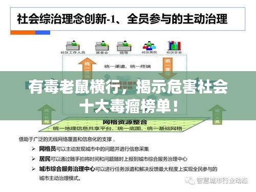 有毒老鼠橫行，揭示危害社會十大毒瘤榜單！