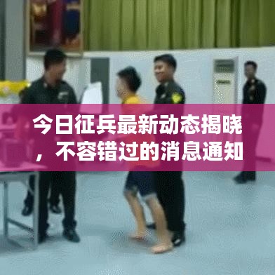 今日征兵最新動態(tài)揭曉，不容錯過的消息通知！