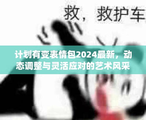計劃有變表情包2024最新，動態(tài)調(diào)整與靈活應(yīng)對的藝術(shù)風(fēng)采