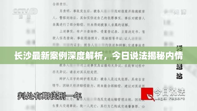 長(zhǎng)沙最新案例深度解析，今日說(shuō)法揭秘內(nèi)情