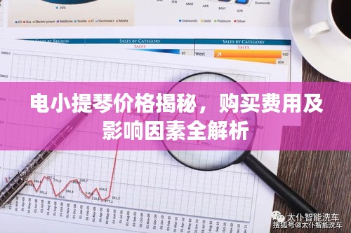電小提琴價(jià)格揭秘，購買費(fèi)用及影響因素全解析