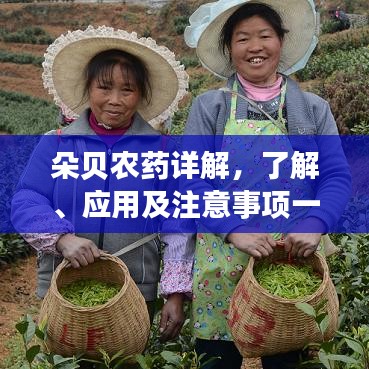 朵貝農(nóng)藥詳解，了解、應(yīng)用及注意事項一網(wǎng)打盡