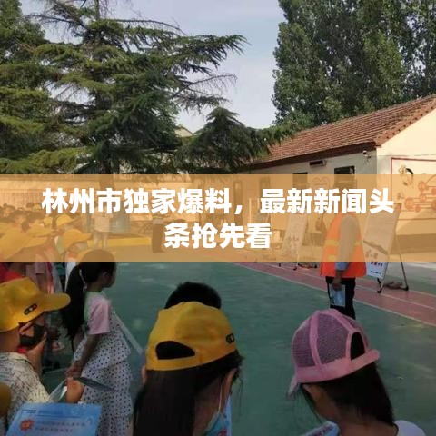 林州市獨家爆料，最新新聞頭條搶先看