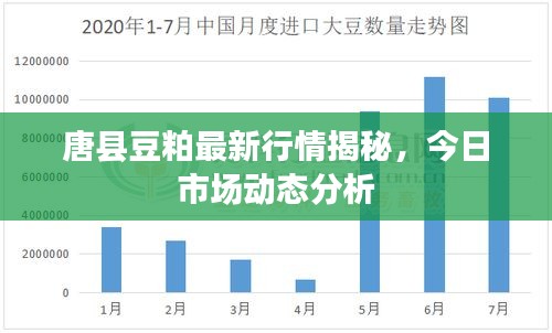 唐縣豆粕最新行情揭秘，今日市場動態(tài)分析