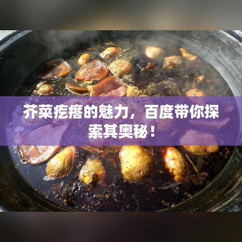 芥菜疙瘩的魅力，百度帶你探索其奧秘！