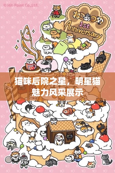 貓咪后院之星，明星貓魅力風(fēng)采展示