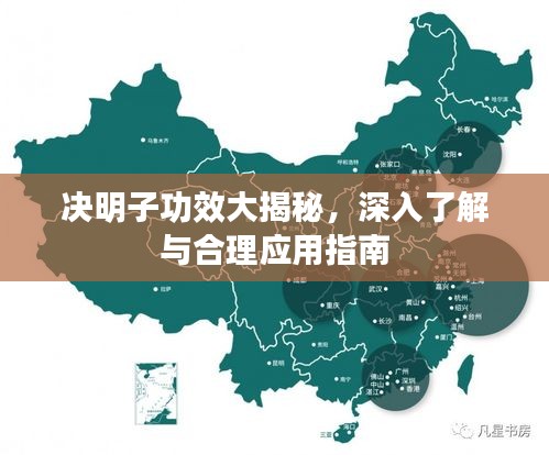 決明子功效大揭秘，深入了解與合理應(yīng)用指南