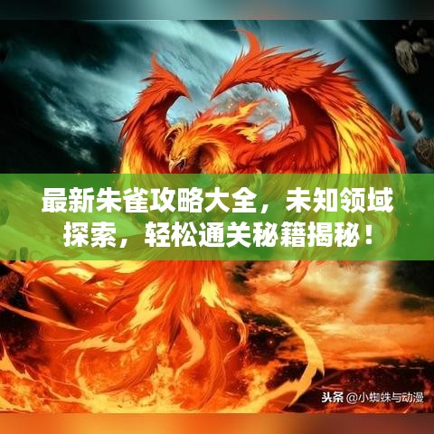 最新朱雀攻略大全，未知領(lǐng)域探索，輕松通關(guān)秘籍揭秘！