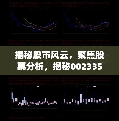 揭秘股市風云，聚焦股票分析，揭秘002335股票動態(tài)與前景展望