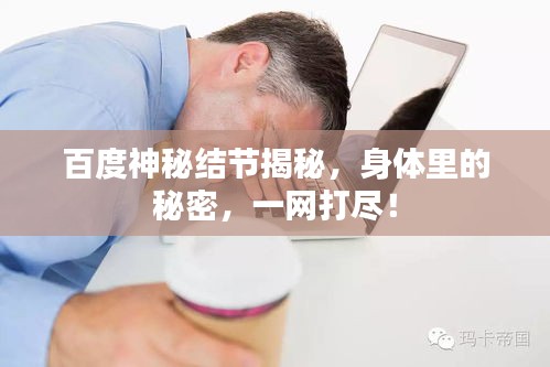 百度神秘結(jié)節(jié)揭秘，身體里的秘密，一網(wǎng)打盡！