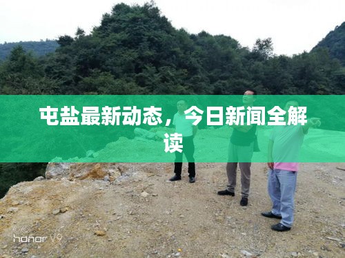 屯鹽最新動態(tài)，今日新聞全解讀