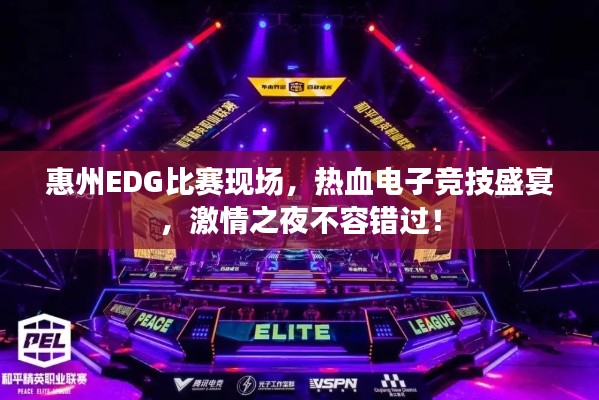 惠州EDG比賽現(xiàn)場(chǎng)，熱血電子競(jìng)技盛宴，激情之夜不容錯(cuò)過(guò)！
