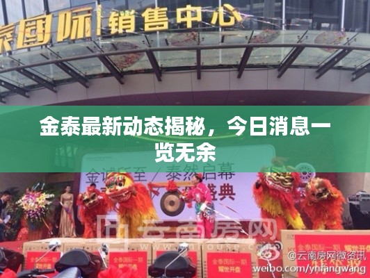 金泰最新動(dòng)態(tài)揭秘，今日消息一覽無(wú)余