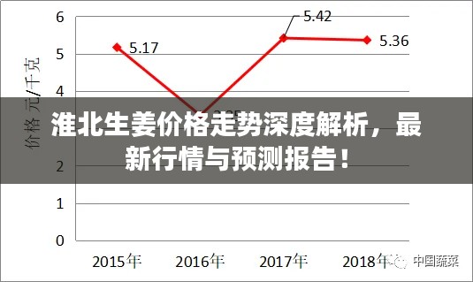 淮北生姜價(jià)格走勢(shì)深度解析，最新行情與預(yù)測(cè)報(bào)告！