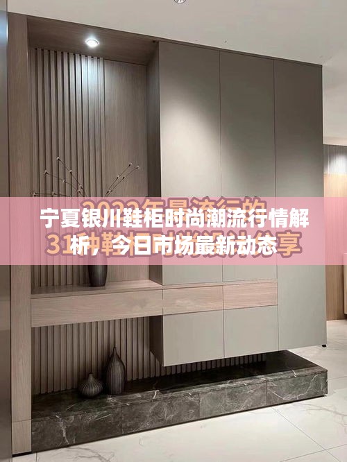 寧夏銀川鞋柜時(shí)尚潮流行情解析，今日市場(chǎng)最新動(dòng)態(tài)
