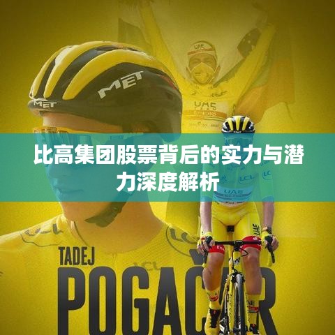 比高集團股票背后的實力與潛力深度解析