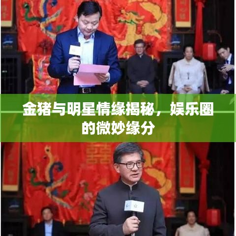 金豬與明星情緣揭秘，娛樂圈的微妙緣分