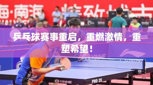 乒乓球賽事重啟，重燃激情，重塑希望！