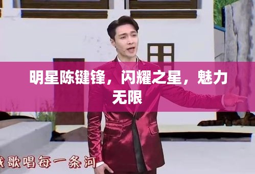 明星陳鍵鋒，閃耀之星，魅力無限