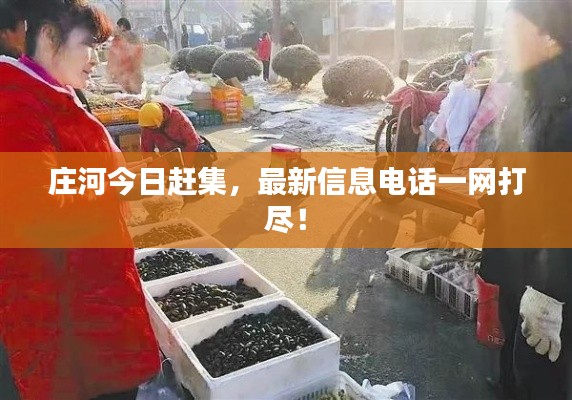 莊河今日趕集，最新信息電話一網(wǎng)打盡！