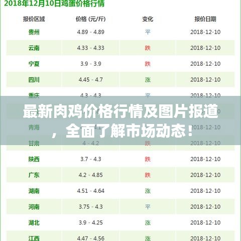 最新肉雞價(jià)格行情及圖片報(bào)道，全面了解市場(chǎng)動(dòng)態(tài)！