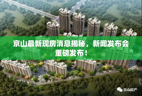 京山最新現(xiàn)房消息揭秘，新聞發(fā)布會(huì)重磅發(fā)布！
