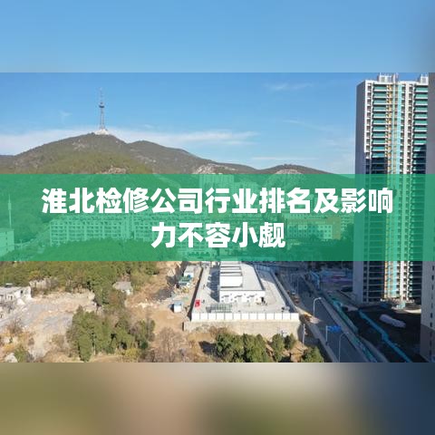 淮北檢修公司行業(yè)排名及影響力不容小覷