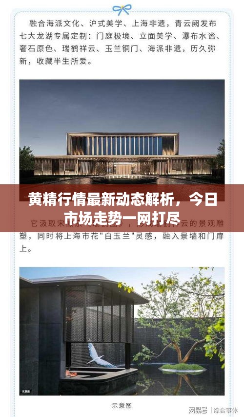 黃精行情最新動態(tài)解析，今日市場走勢一網(wǎng)打盡